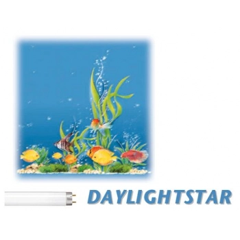 Świetlówka DAYLIGHTSTAR T8 36W G13 5000K