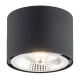Clevland lampa sufitowa 1xGU10 LED AR111 4691 BZ Argon
