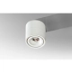 Costa LED 12W 1020lm lampa sufitowa biała
