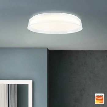 Leanna lampa sufitowa LED 24W 2400lm 3000K-6500K G97189/70