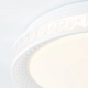 Burlie lampa sufitowa LED 24W 2400lm 3000K-6500K G97190/70