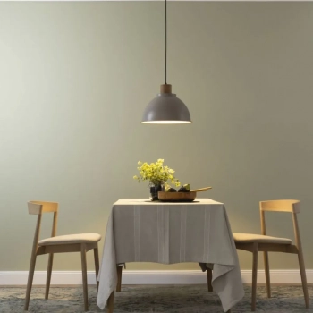 Erena lampa wisząca 1xE27 99836/20