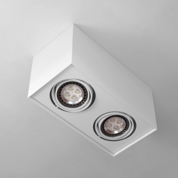 Cleoni Alejo S2 lampa sufitowa 2xGU10 Minimalistyczna oprawa reflektorowa.