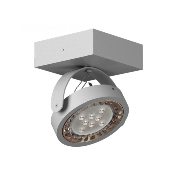 DEDRA D1Sd LED111 reflektor stropowy