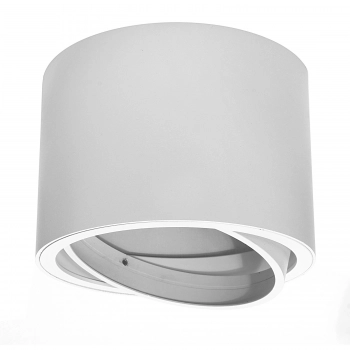 Lampa sufitowa 1xGU10 AR111 biała