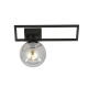 Emibig Lighting Imago 1D lampa sufitowa E14 czarna, klosz szklany grafitowy 1131/1D