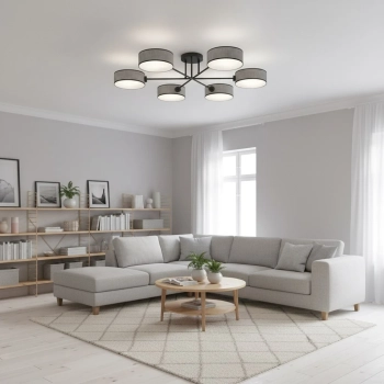 Maga 6 Gray lampa sufitowa 6xE14 1570/6 szara