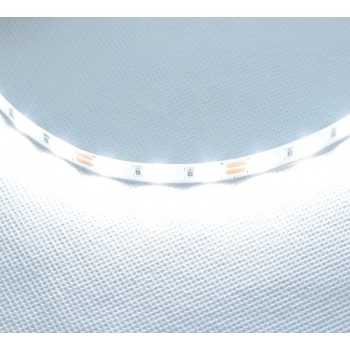 Taśma LED 2835 10mm/5cm światło chłodne białe 6000K