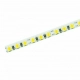 Taśma LED 3528 Slim 10 moduły 3cm 10W/m 890lm/m ciepła/neutralna/chłodna