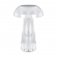 Singa LED lampka stołowa 1W 45lm CCT transparentna 04842 Ideus