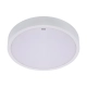 Andre C LED lampa wbudowywana 12W, 15W, 18W 1550lm, 1880lm, 2230lm CCT biała 05058 Ideus