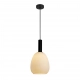 Gater lampa wisząca 1xE27 PND-23541-1-BK-OP Italux