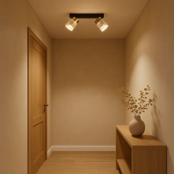 Erovia 2 lampa sufitowa LED 10W 1219lm CCT LP-5923/2WS GD