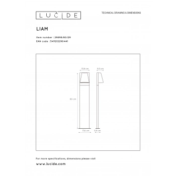 Liam lampa stojaca IP44 GU10 29898/80/29 antracyt