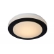 Dimy LED lampa sufitowa IP21 12W 960lm 3000K 79179/12/30 Lucide