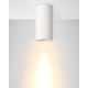 Gipsy lampa sufitowa gipsowa GU10 35100/14/31 biała