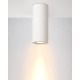 Gipsy lampa sufitowa gipsowa GU10 35100/17/31 biała