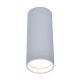 Stag lampa sufitowa GU10 LED 4,7W 440lm RGB biała