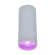 Stag lampa sufitowa GU10 LED 4,7W 440lm RGB biała 8304801446 Lutec