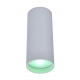 Stag lampa sufitowa GU10 LED 4,7W 440lm RGB biała 8304801446 Lutec