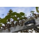 Arrow kinkiet solarny LED IP44 z czujnikiem ruchu PIR