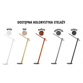 zestawienie stelaży