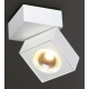 Artu lampa sufitowa LED 15,4W 1000lm C0106 biała MaxLight