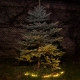 Pot lampa solarna stojąca IP44 0.06W LED 2lm 3000K czarna EKO1449