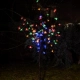 Tree lampa solarna stojąca IP44 0.1W LED 3lm RGB, 3000K czarna EKO1448