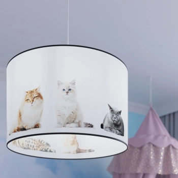 Kitty 30 lampa wisząca 1xE27 wielokolorowa SL.1420