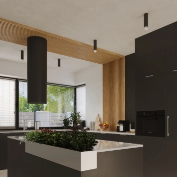 Nero 12,5 lampa sufitowa 1xGU10 czarna, chrom SL.1408