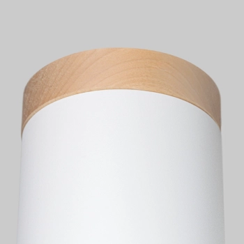 Rif lampa sufitowa 1xGU10 biała SL.1348