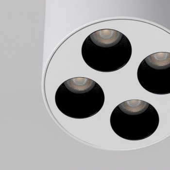 Zoe lampa sufitowa LED 9W 887lm 4000K biała SL.1209