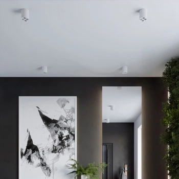 Zoe lampa sufitowa LED 9W 887lm 4000K biała SL.1209