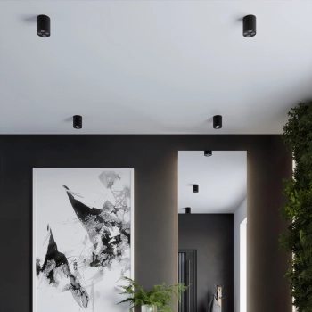 Zoe lampa sufitowa LED 9W 887lm 4000K czarna SL.1210