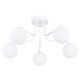 Astral 5 lampa wisząca 5xG9 biała SL.1660 Sollux Lighting