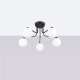Astral 5 lampa sufitowa 5xG9 czarna SL.1663
