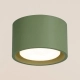 Modo 1 lampa sufitowa 1xGx53 zielona oliwka SL.2462