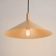 Nox 40 lampa wisząca 1xE27 złota SL.2538