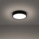 Onyx 30 lampa sufitowa LED 23W 1813lm 3000K czarna SL.1242