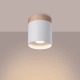 Rif lampa sufitowa 1xGU10 biała SL.1348