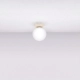 Yoli 1 lampa sufitowa 1xG9 beżowa SL.2232