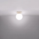 Yoli 1 lampa sufitowa 1xG9 beżowa SL.2232