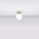Yoli 1 lampa sufitowa 1xG9 taupe SL.2238