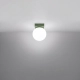 Yoli 1 lampa sufitowa 1xG9 zielona oliwka SL.2262