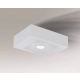 Shilo Koga IL lampa sufitowa LED 10 W 1000 lm biała