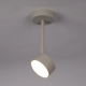 Nemo 1 M lampa sufitowa 1xGX53 jasna szara 40887