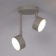 Nemo 2 lampa sufitowa 2XGX53 jasna szara 40889