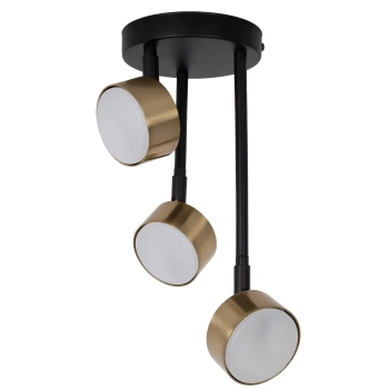 Nemo lampa sufitowa 3xGx53 41088 czarna, złoty szczotkowany Sigma Lighting