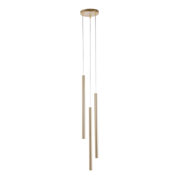 Sopel Lux lampa wisząca 3xG9 40958 złoty szczotkowany Sigma Lighting
